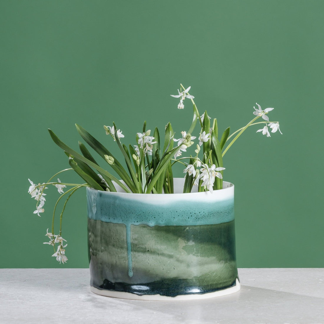 scilla+mischtschenkoana+in+moss+bulb+planter.jpg